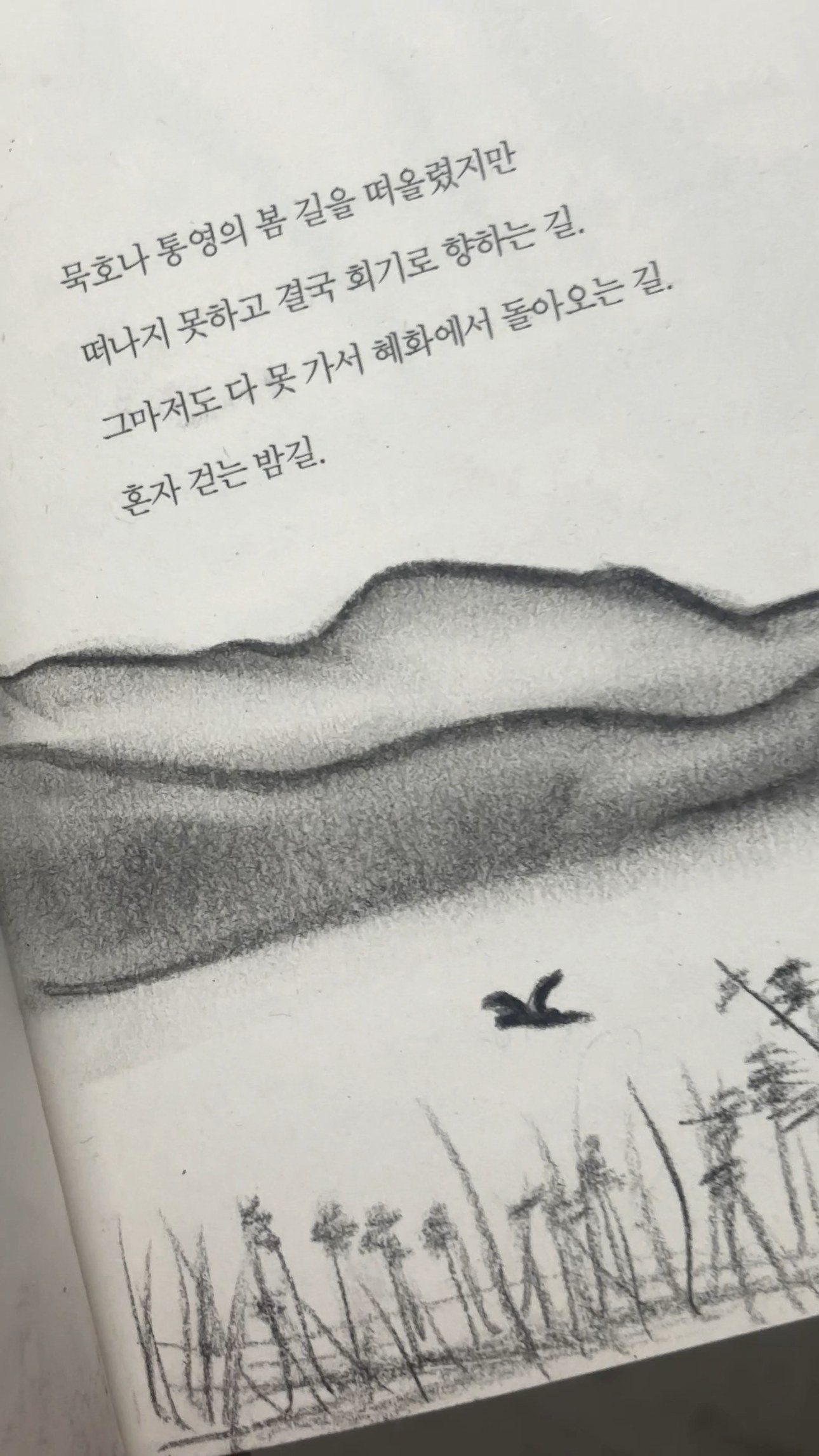 J Seo, drawing in a book